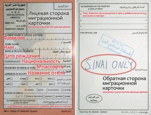 миграционная карта египта