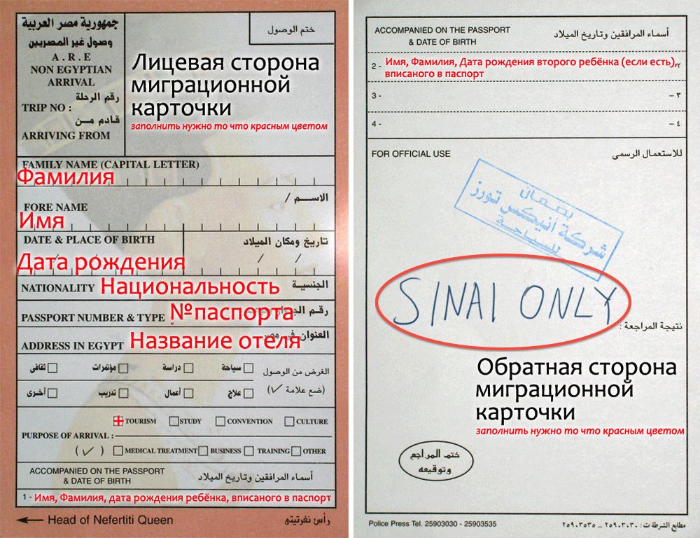 миграционная карта египта